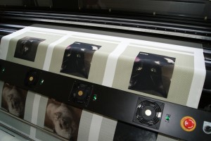 Digital Printing on fabric